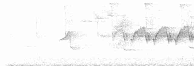 lesňáček modropláštíkový - ML618899917