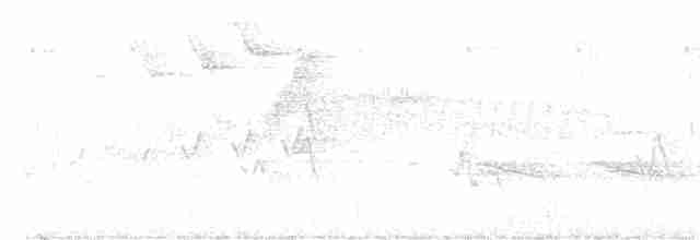 Cerulean Warbler - ML618899918