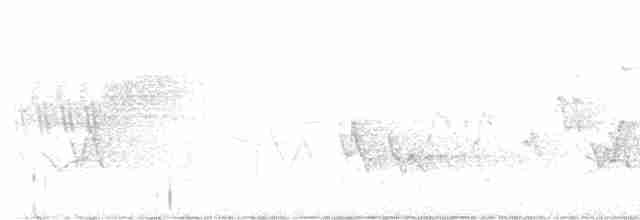 lesňáček modropláštíkový - ML618899919