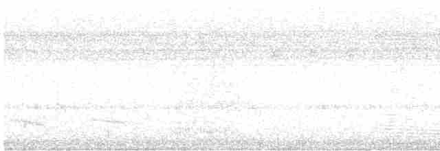 Тукан чорнодзьобий - ML618900063