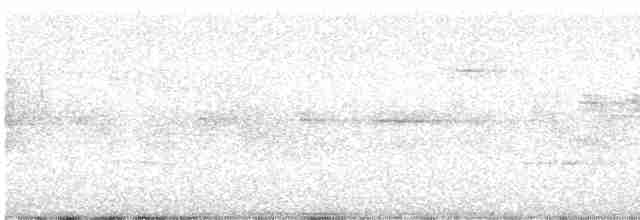 Yellow-rumped Warbler - ML618900893