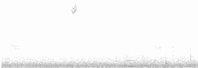 Yellow-rumped Warbler (Myrtle) - ML618901078