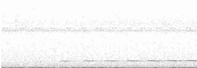 Streifenbrust-Ameisendrossel - ML618908682