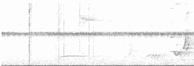 Streifenbrust-Ameisendrossel - ML618909199