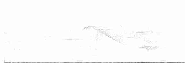 holoubek hnědoprsý - ML618909271
