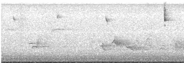 Prairie Warbler - ML618910179
