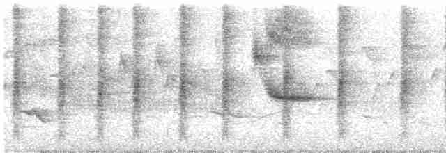 vlhovec červenokřídlý [skupina phoeniceus] - ML618910937