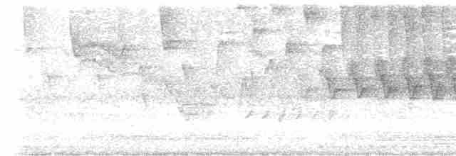 Cerulean Warbler - ML618912570