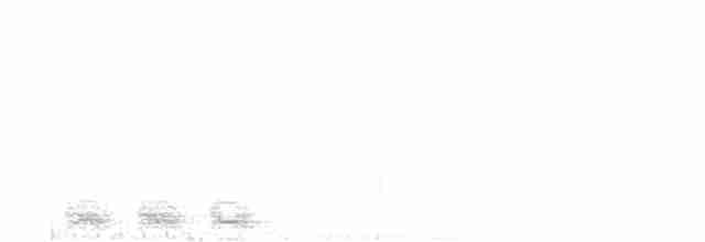 trogon krásný - ML618912587