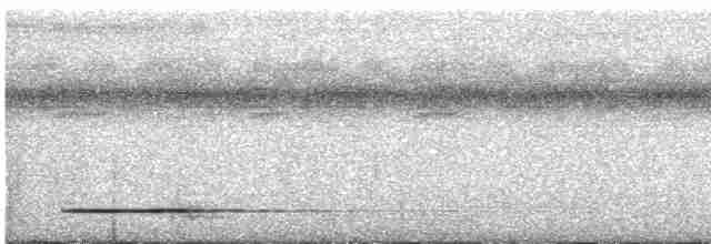 Кустарниковый скрытохвост - ML618912808
