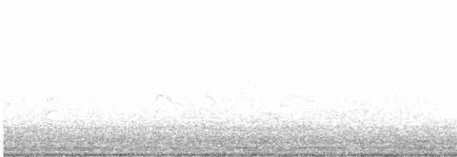 Дрізд-короткодзьоб малий - ML618913050