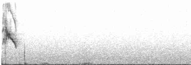 Белокрылая канделита - ML618913463