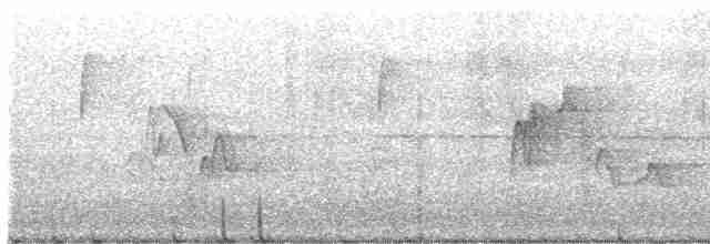 Cerulean Warbler - ML618913763