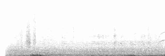 Uzun Kuyruklu Korsanmartı - ML618913835