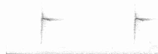 White-browed Warbler - ML618914861