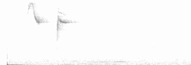 White-browed Warbler - ML618914928