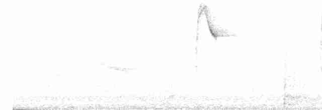 White-browed Warbler - ML618914977