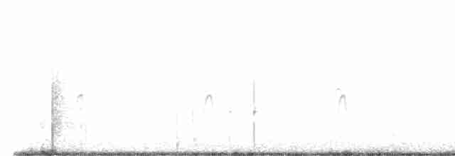 Пятнистый веретенник - ML618915296