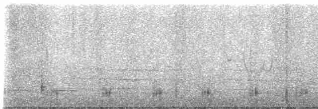 Common Merganser (North American) - ML618918651