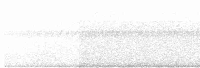 White-throated Spadebill - ML618918818
