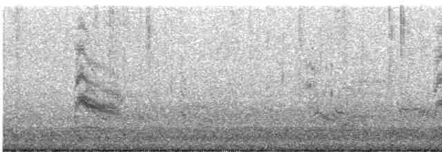 שחפית שחורת-אוזן - ML618919949