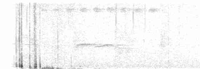 Kuzeyli Kara Gerdanlı Trogon - ML618920450