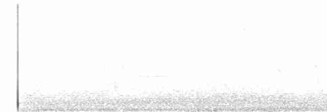 Black-bellied Plover - ML618921881