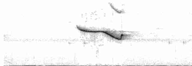 Breitspiegel-Nachtschwalbe - ML618921915
