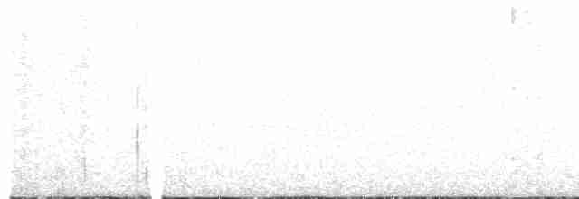 Сплюшка білогорла - ML618922664