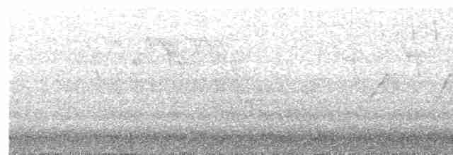 Blackburnian Warbler - ML618923121