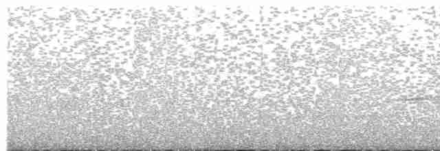 Swallow-tailed Nightjar - ML618923474