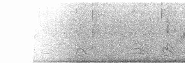 Olivgrau-Ameisenvogel - ML618923888