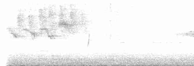 ネズミメジロハエトリ - ML618924015
