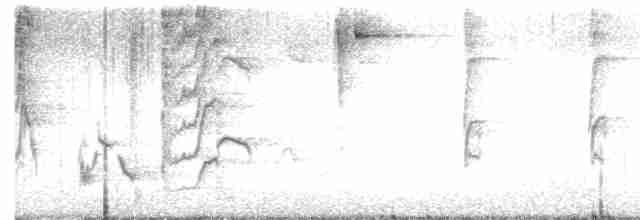 drozdec černohlavý - ML618926054