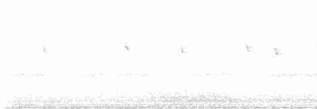 Islıkçı Çobanaldatan - ML618928028
