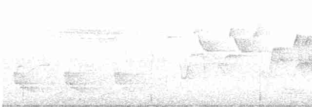 svartbrystparula - ML618928355