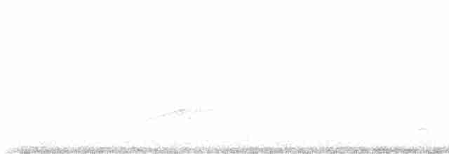 Sarı Karınlı Sinekkapan - ML618928529