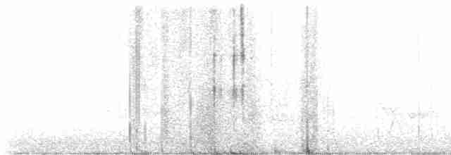 Дрізд-короткодзьоб Cвенсона - ML618928761
