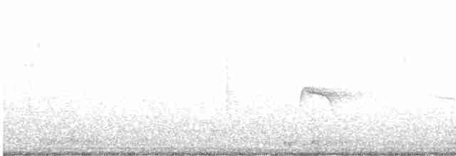 Sarı Karınlı Boreal Sinekkapan - ML618928934