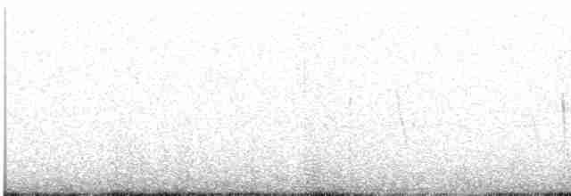 Светлокрылая трясохвостка - ML618929923