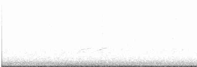 Дрізд-короткодзьоб Cвенсона - ML618929962