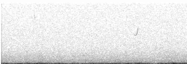 Дормілон блідий - ML618930052
