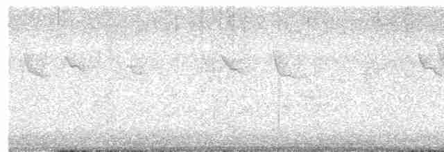 Дрізд-короткодзьоб Cвенсона - ML618930104