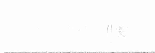 tyranovec vrbový - ML618931771