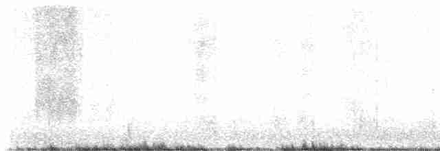 Дрізд-короткодзьоб плямистоволий - ML618932176