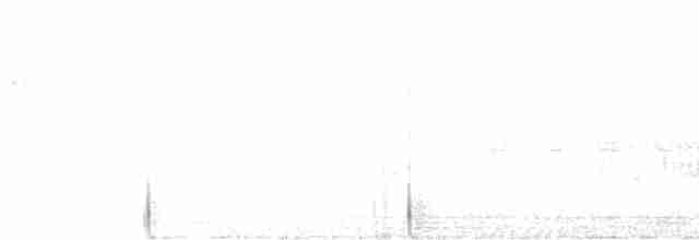 holub bledočelý - ML618932312