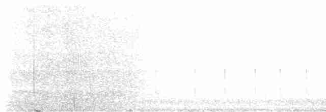 Büyük Çil Yelvesi - ML618934088