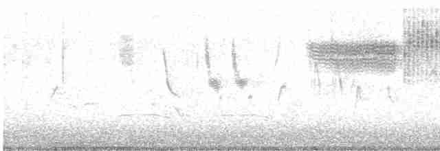 Голубокрылая червеедка - ML618934666