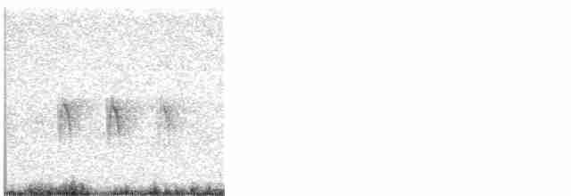 "Шишкар ялиновий (Western Hemlock, або тип 3)" - ML618935336