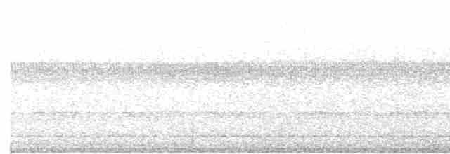 Кайеннский чибис (lampronotus) - ML618935800